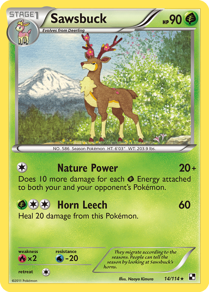 Sawsbuck card