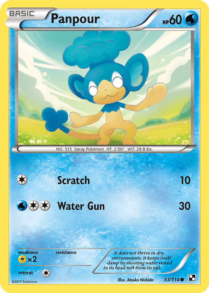 Panpour card
