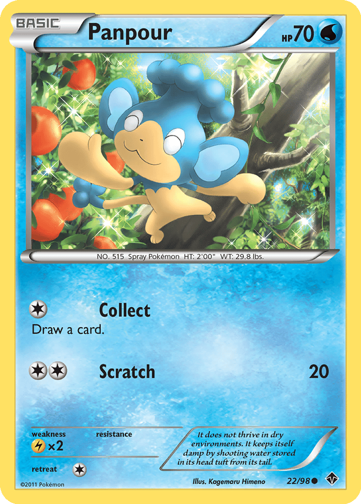 Panpour card