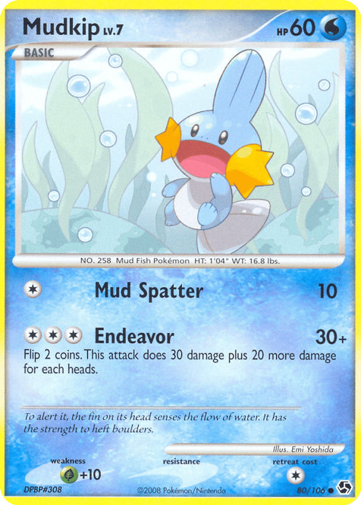 Mudkip card