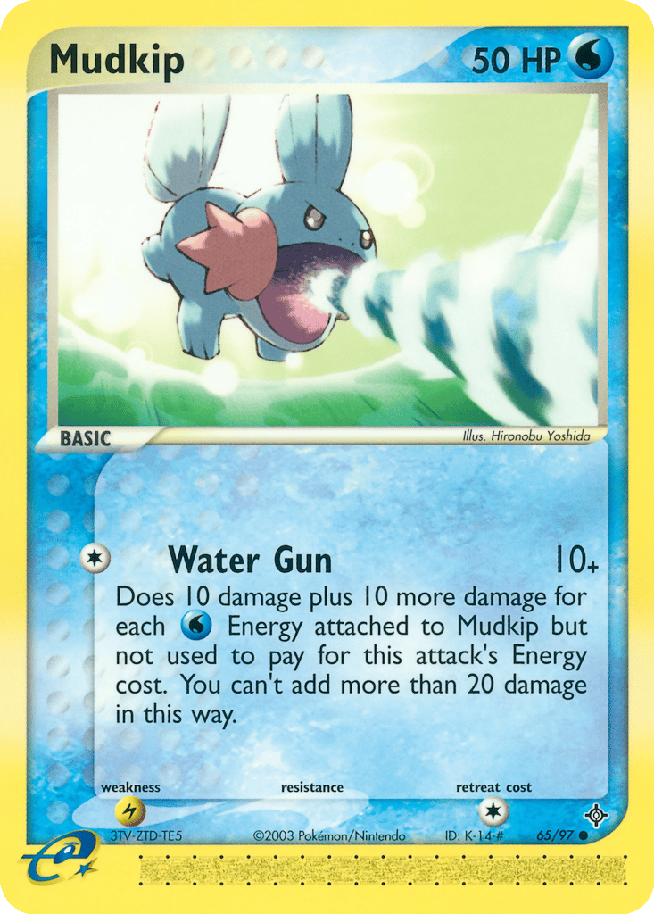 Mudkip card