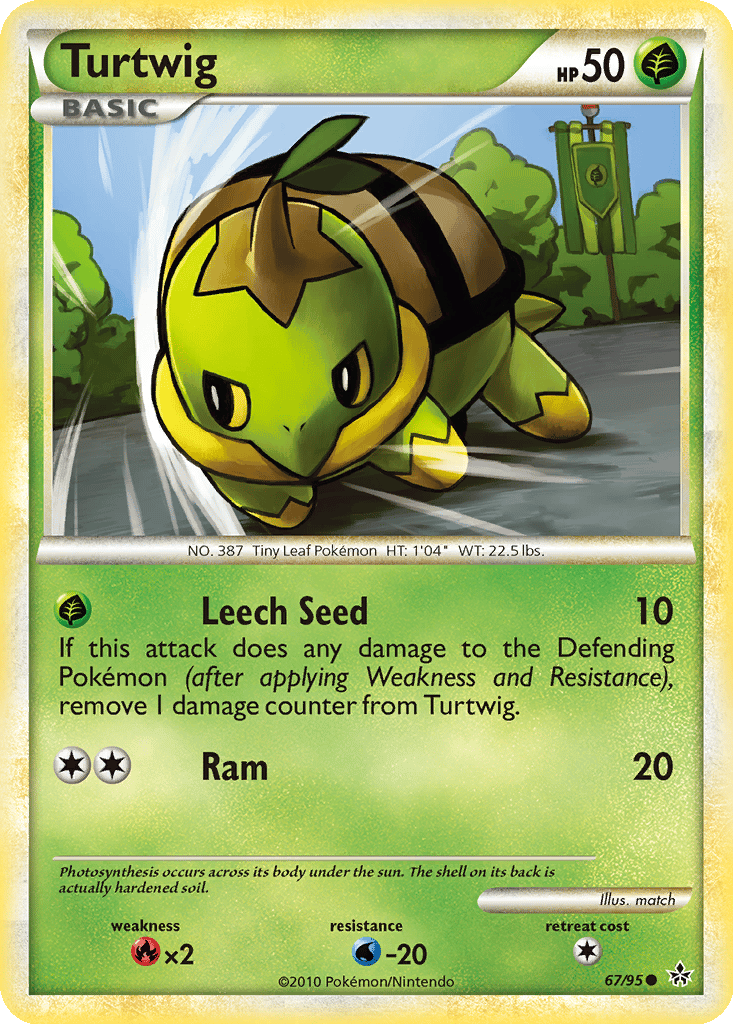 Turtwig card