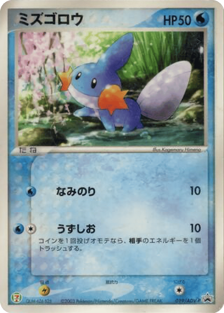 Mudkip card