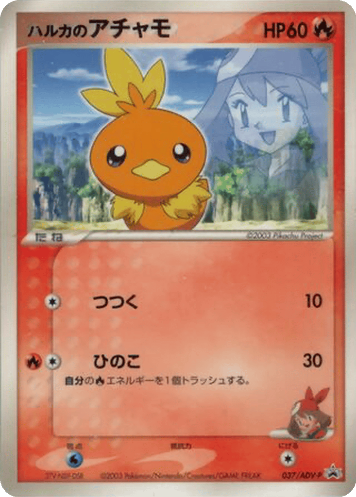 May's Torchic card