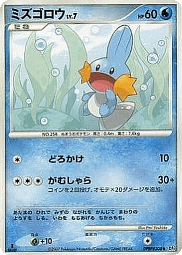 Mudkip card
