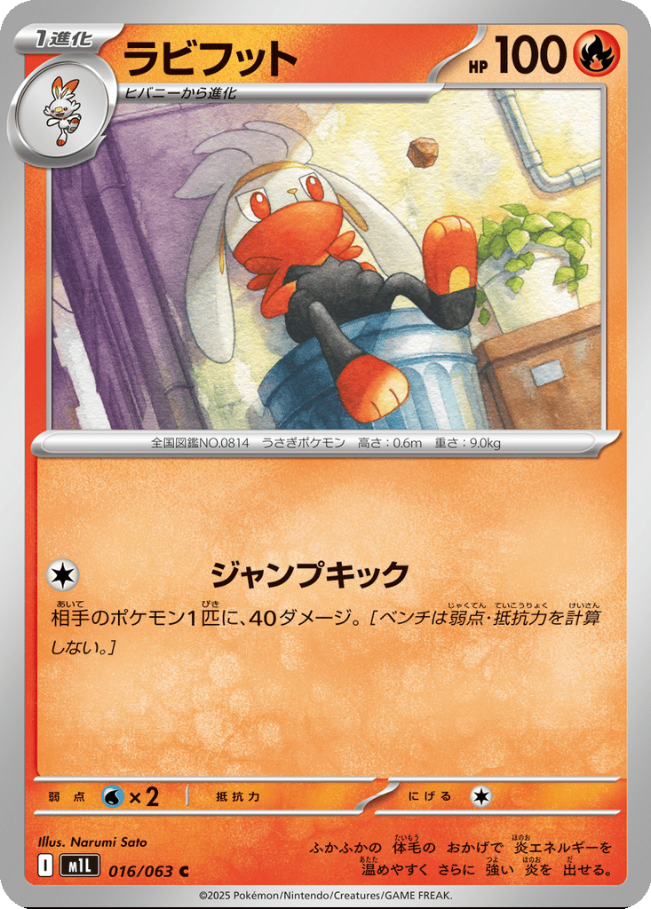 Raboot card