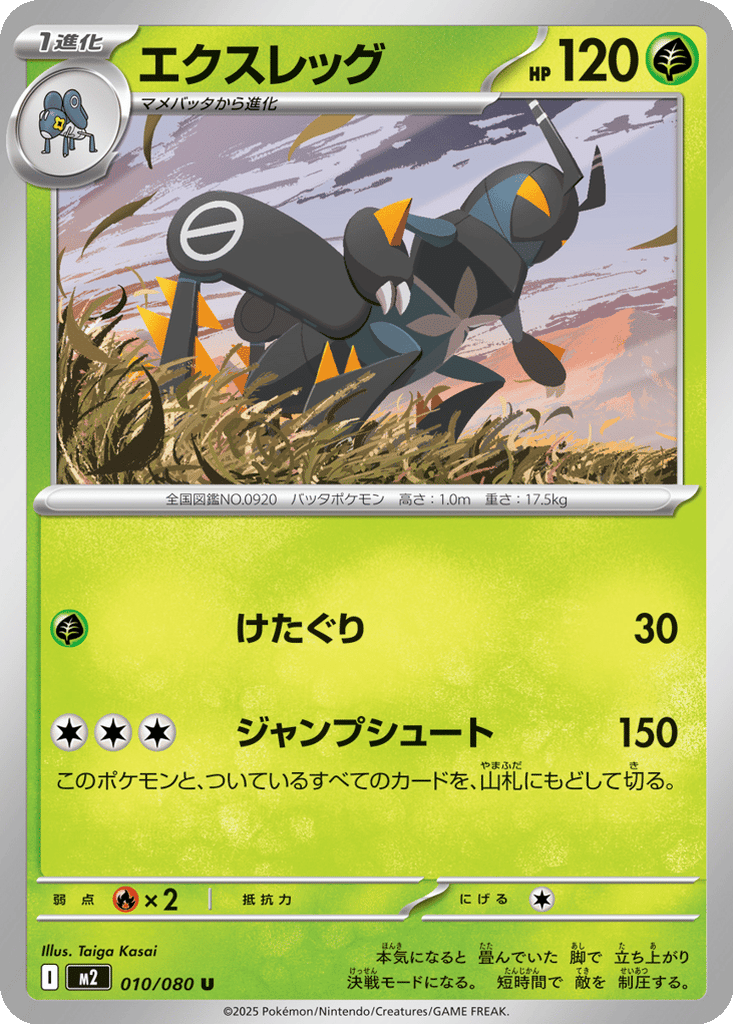 Lokix card