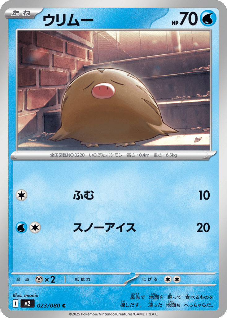 Swinub card