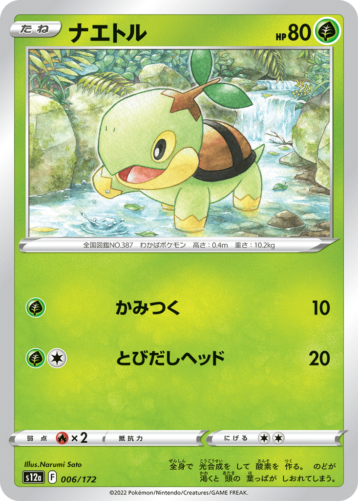 Turtwig card