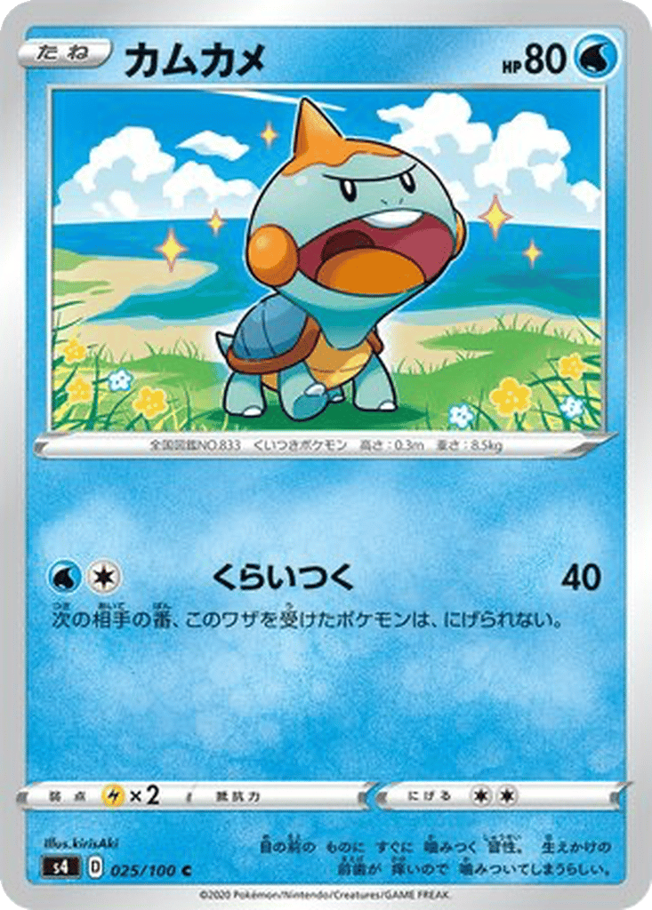Chewtle card