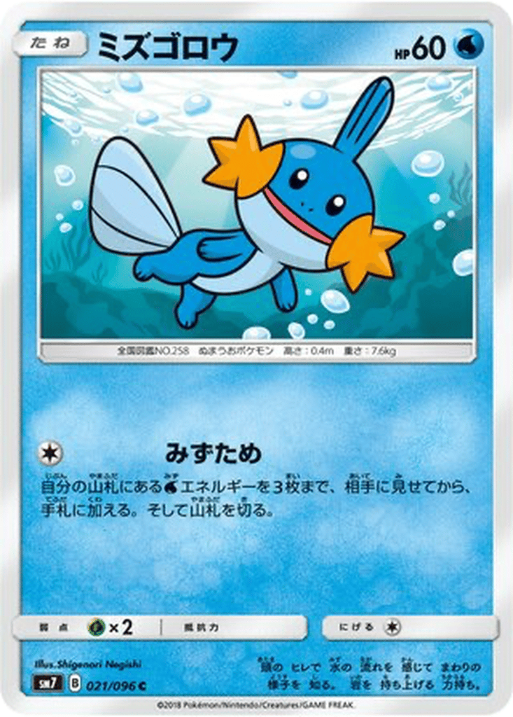 Mudkip card