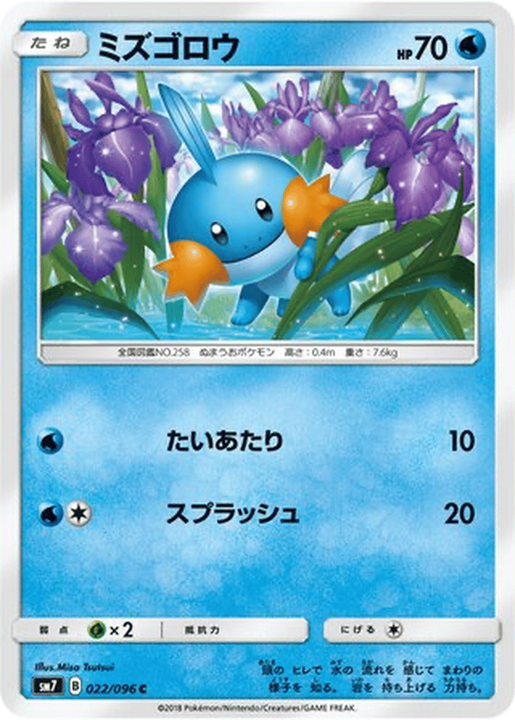 Mudkip card