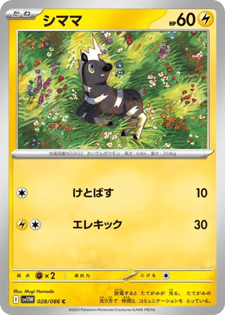 Blitzle card