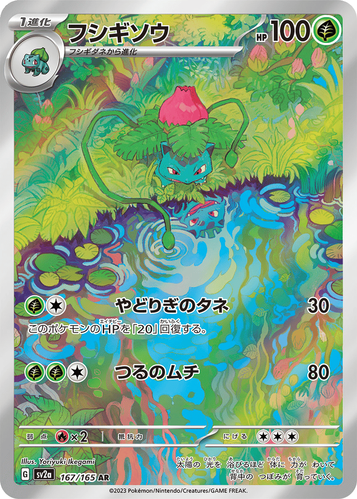 My Collection | Dex - for TCG Collectors