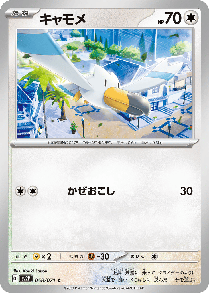 Wingull card
