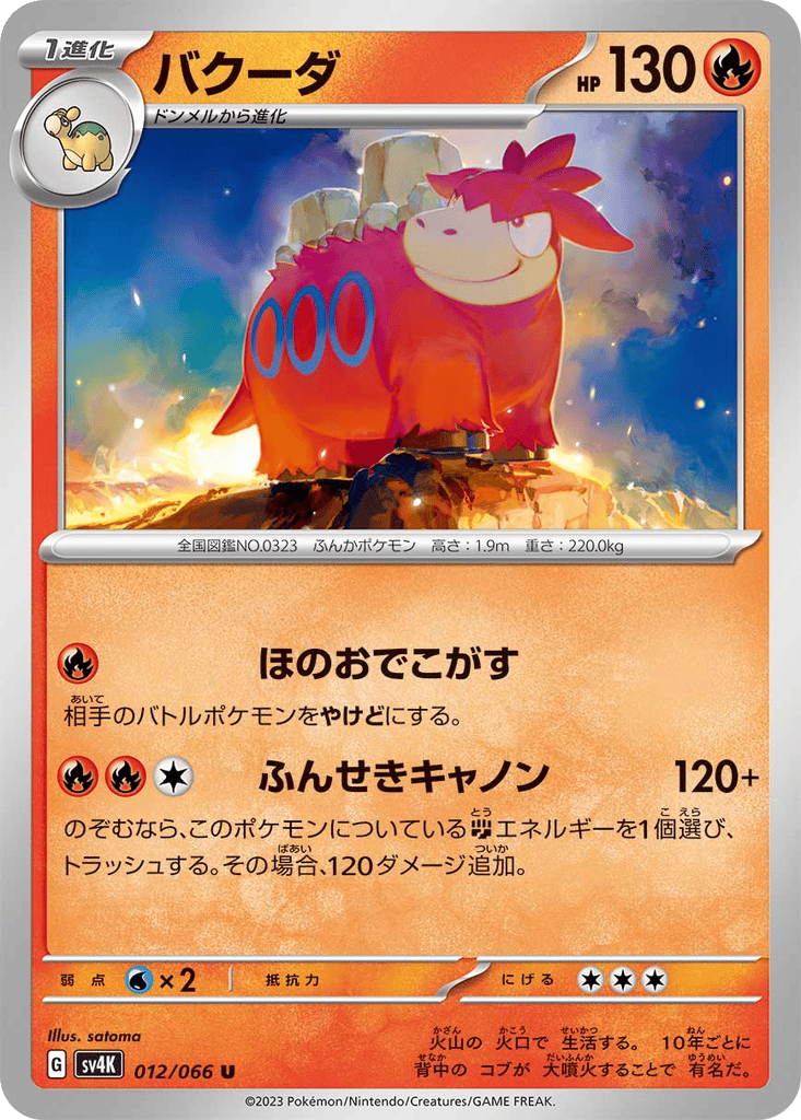 Camerupt card