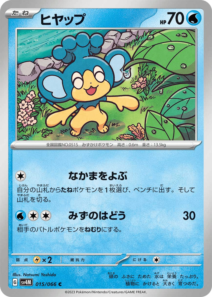 Panpour card