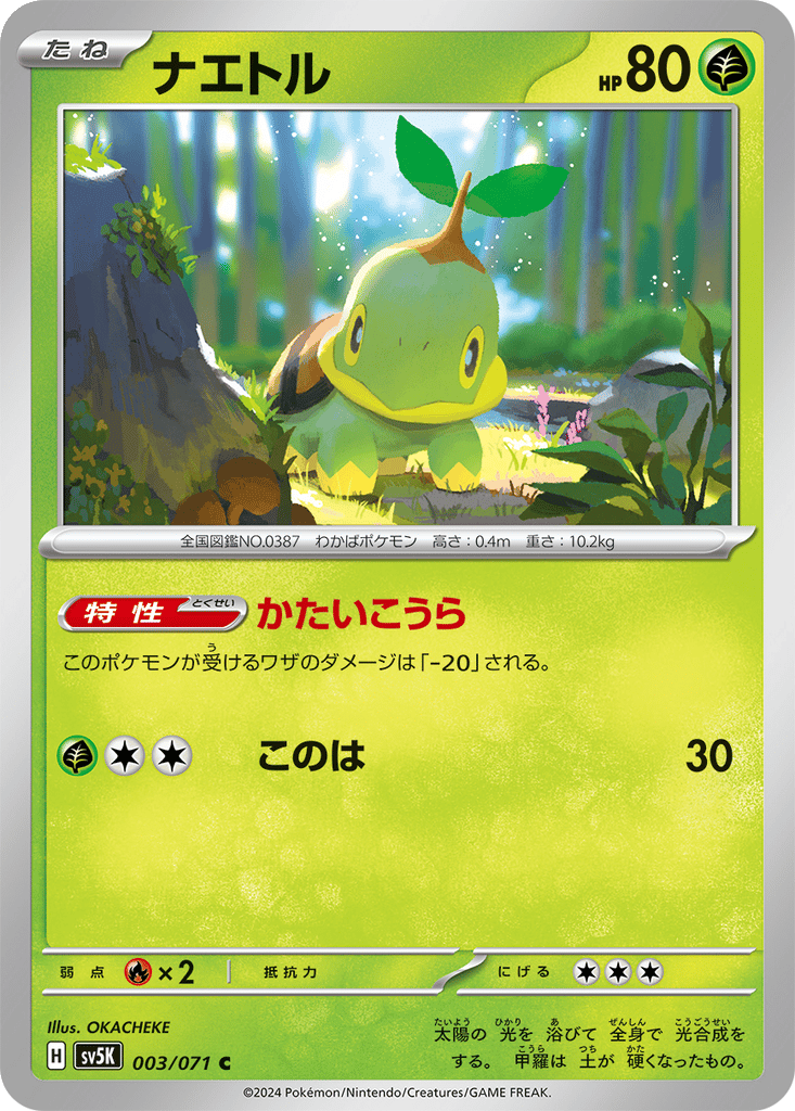Turtwig card