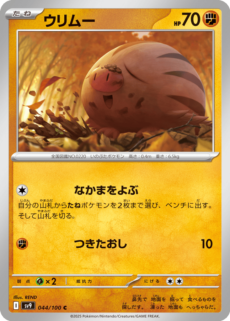 Swinub card