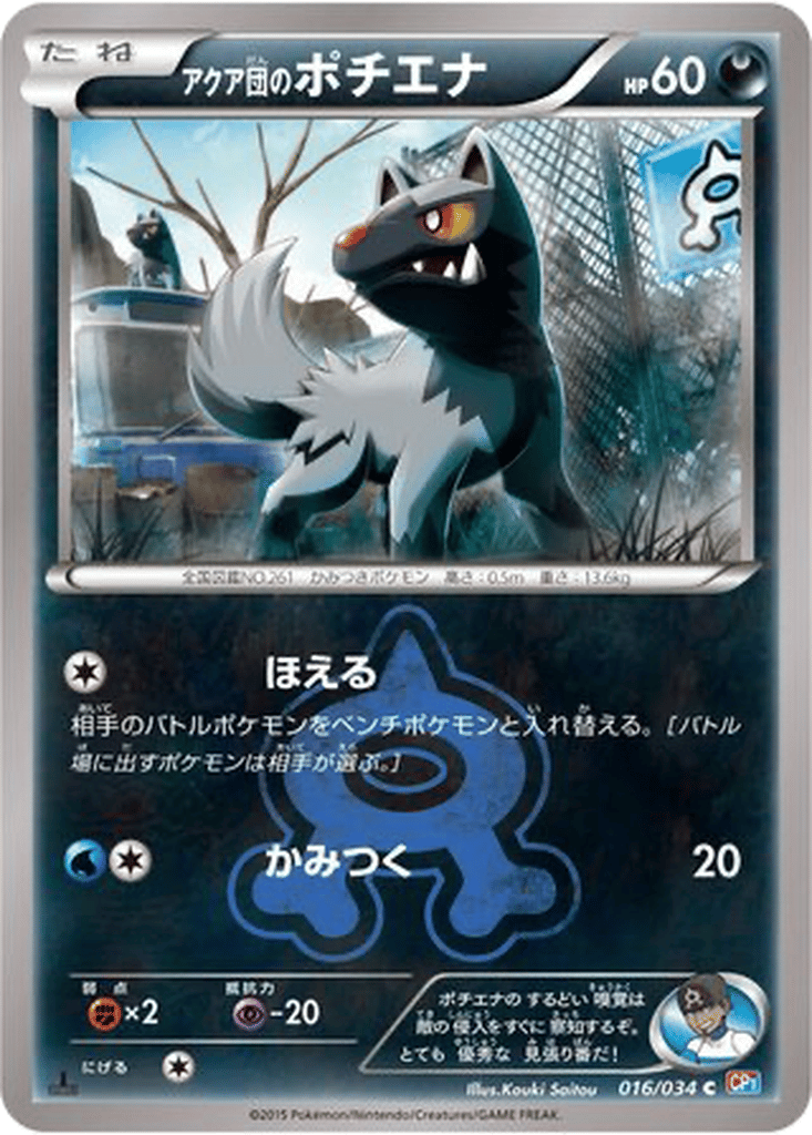 Team Aqua's Poochyena card