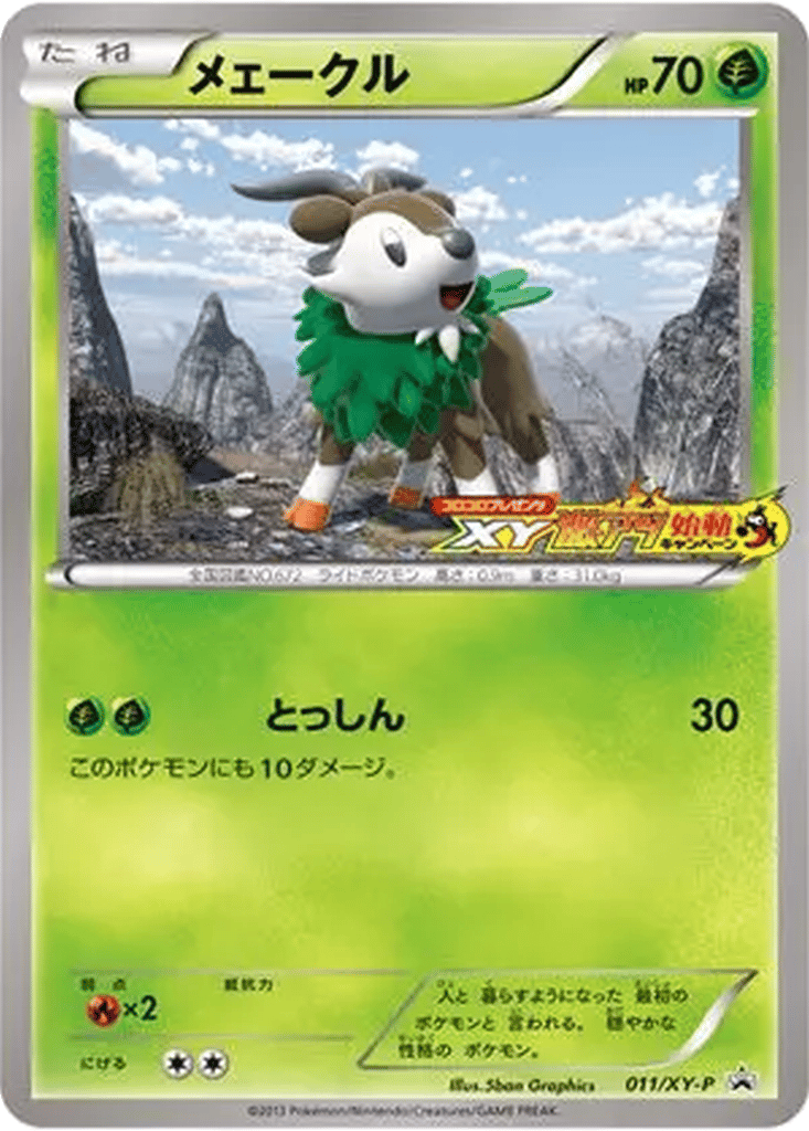 Skiddo card