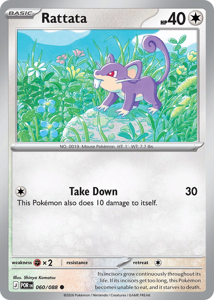 Rattata card