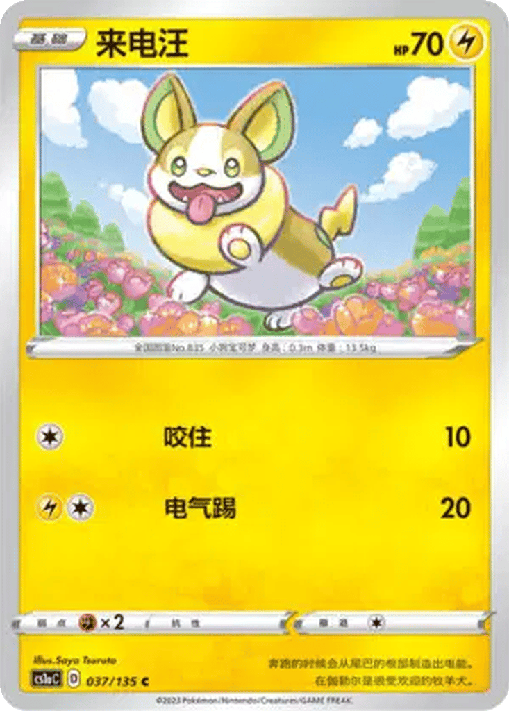 Yamper card