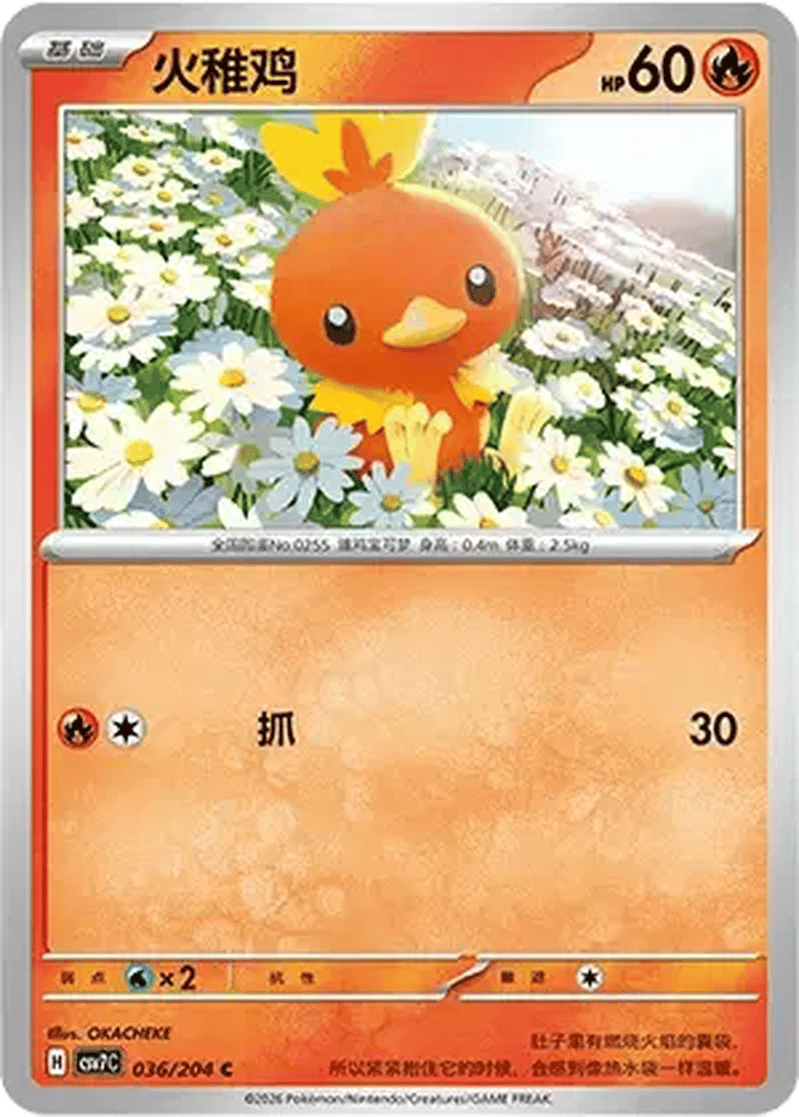 Torchic card