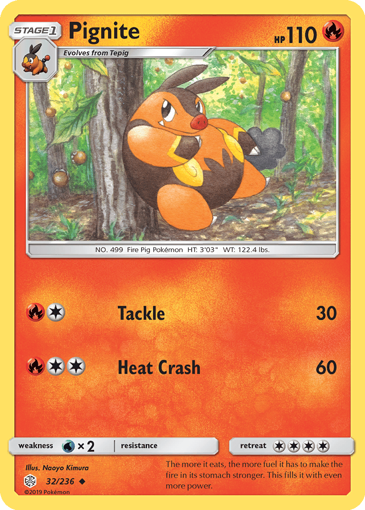 Pignite card