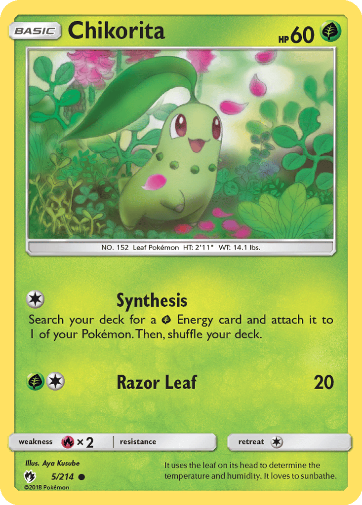 Chikorita card
