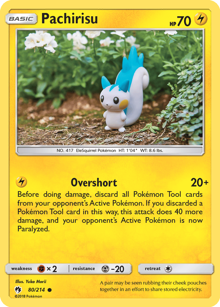 Pachirisu card