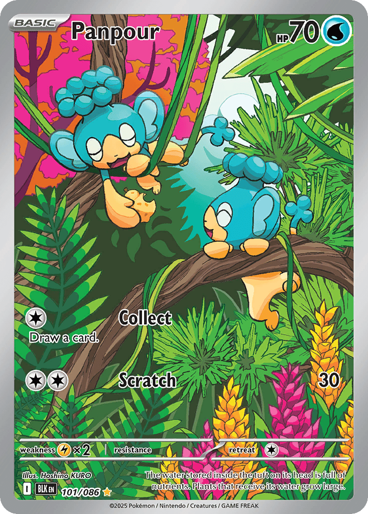 Panpour card
