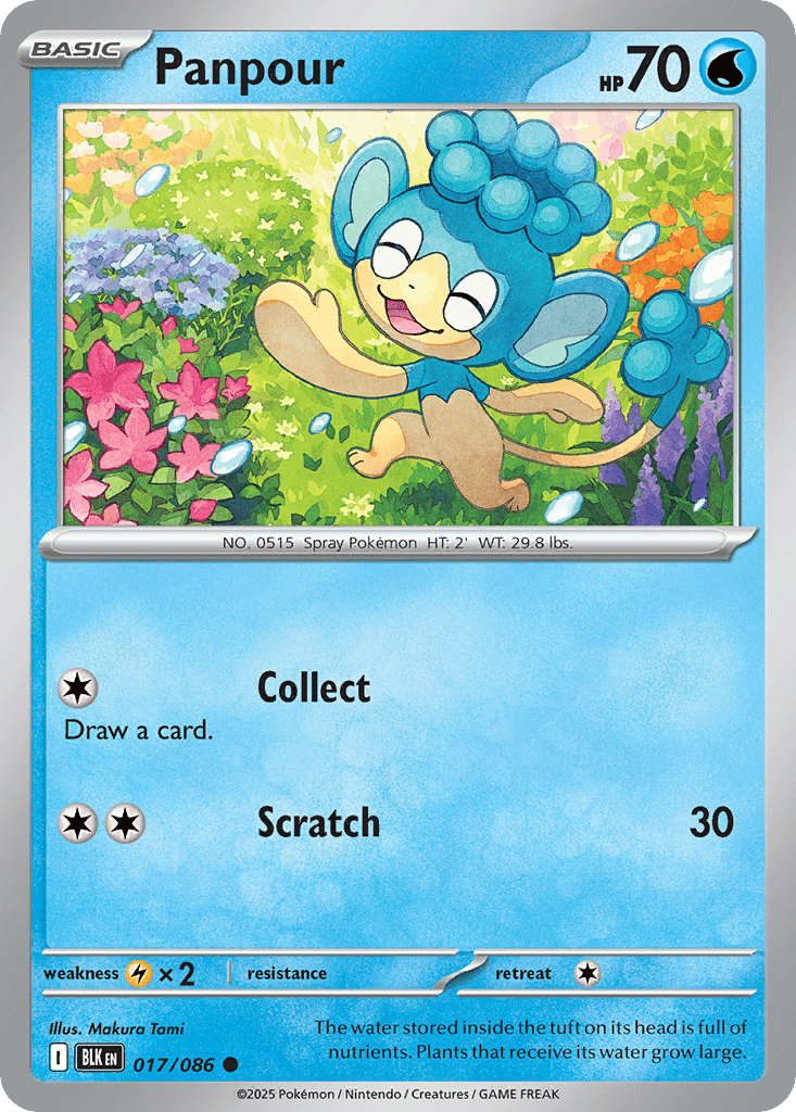 Panpour card