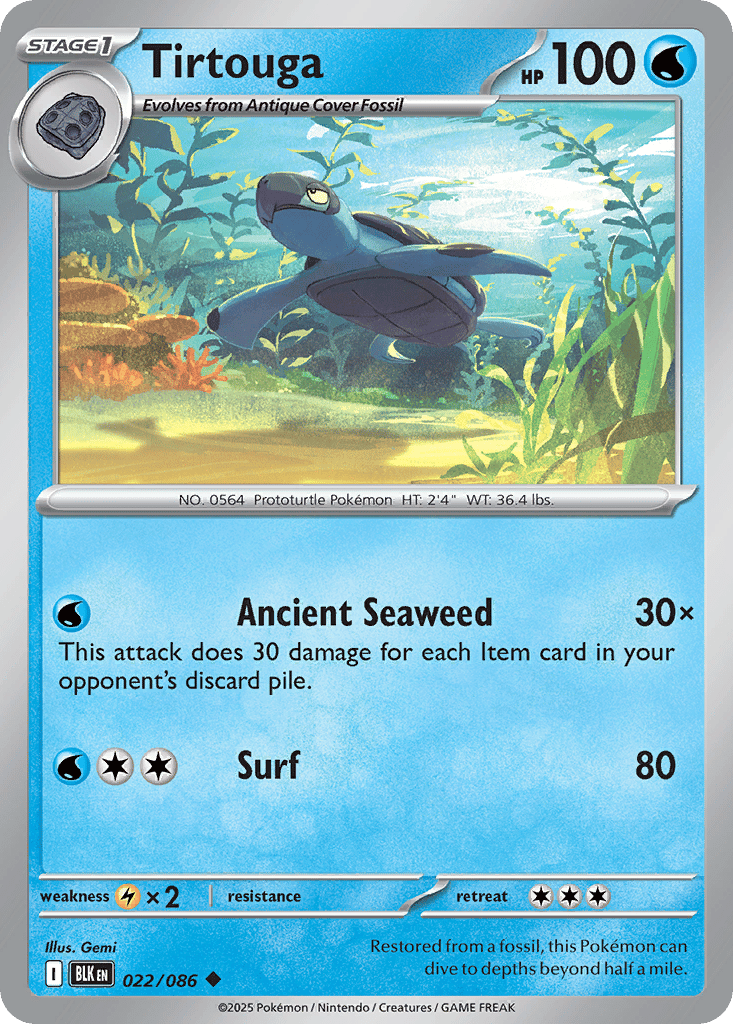 Tirtouga card