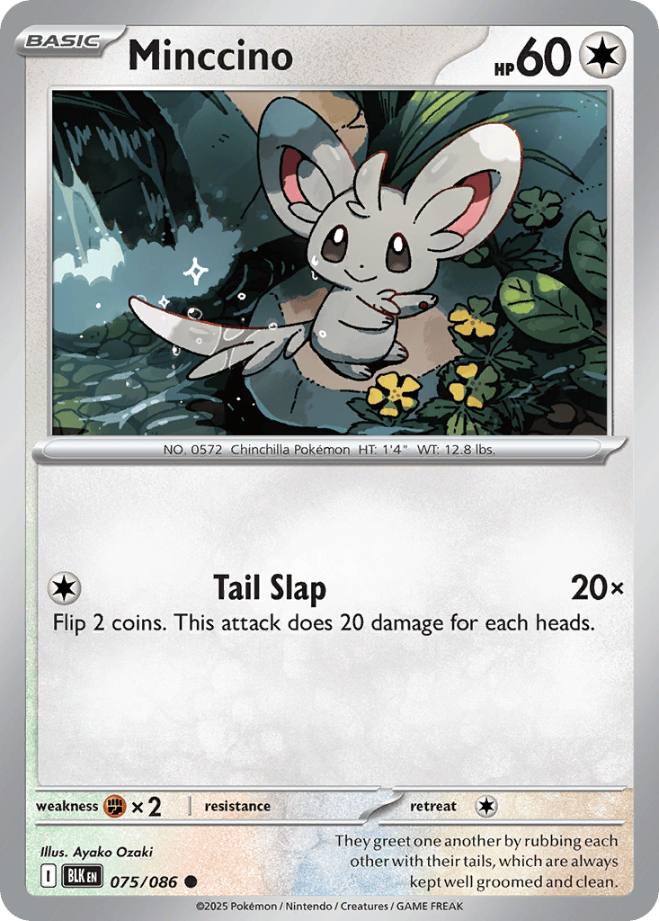 Minccino card