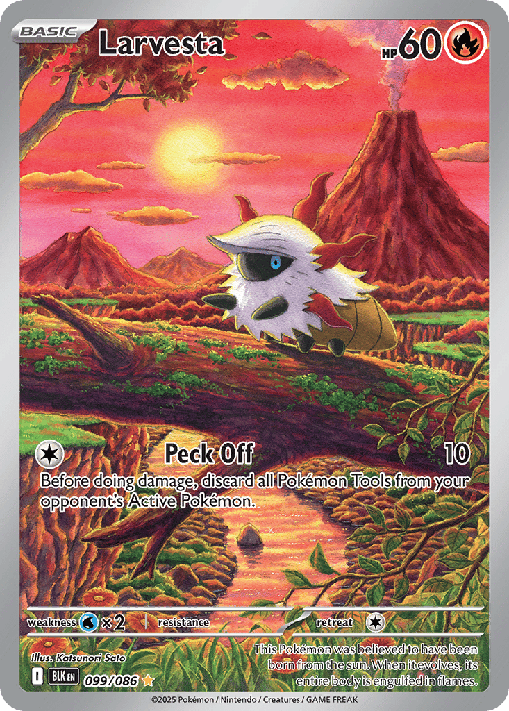 Larvesta Cards | Dex - for TCG Collectors