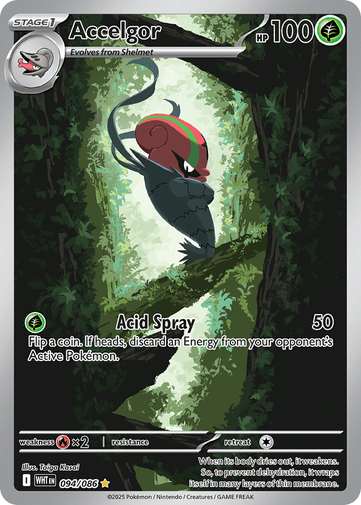 Accelgor card