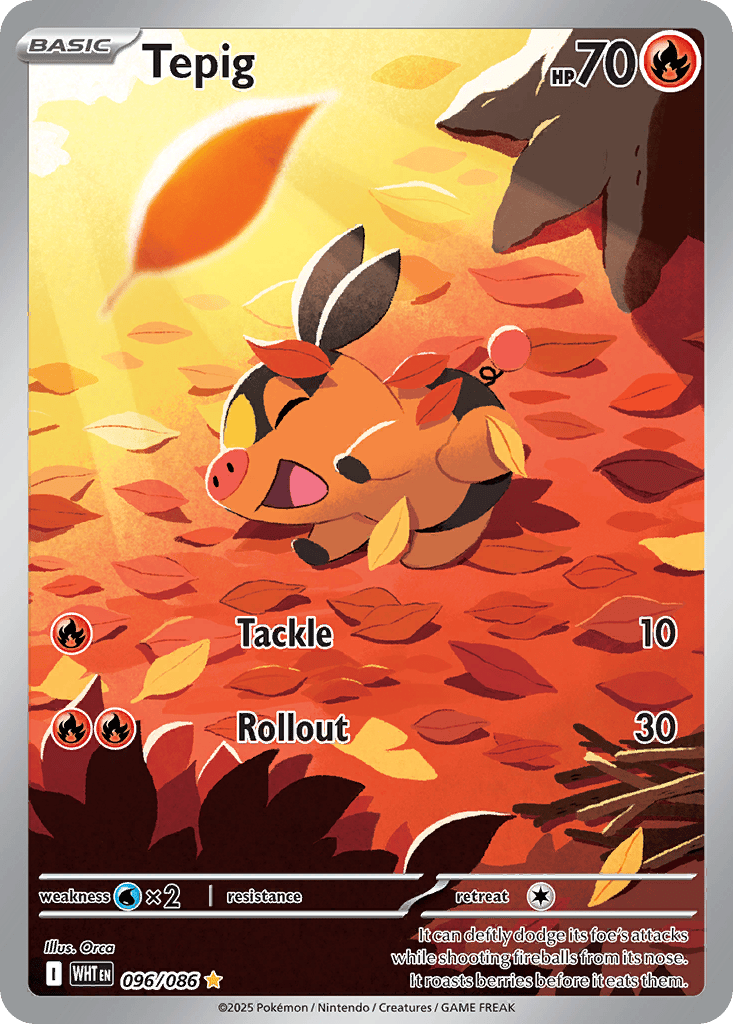 Tepig card