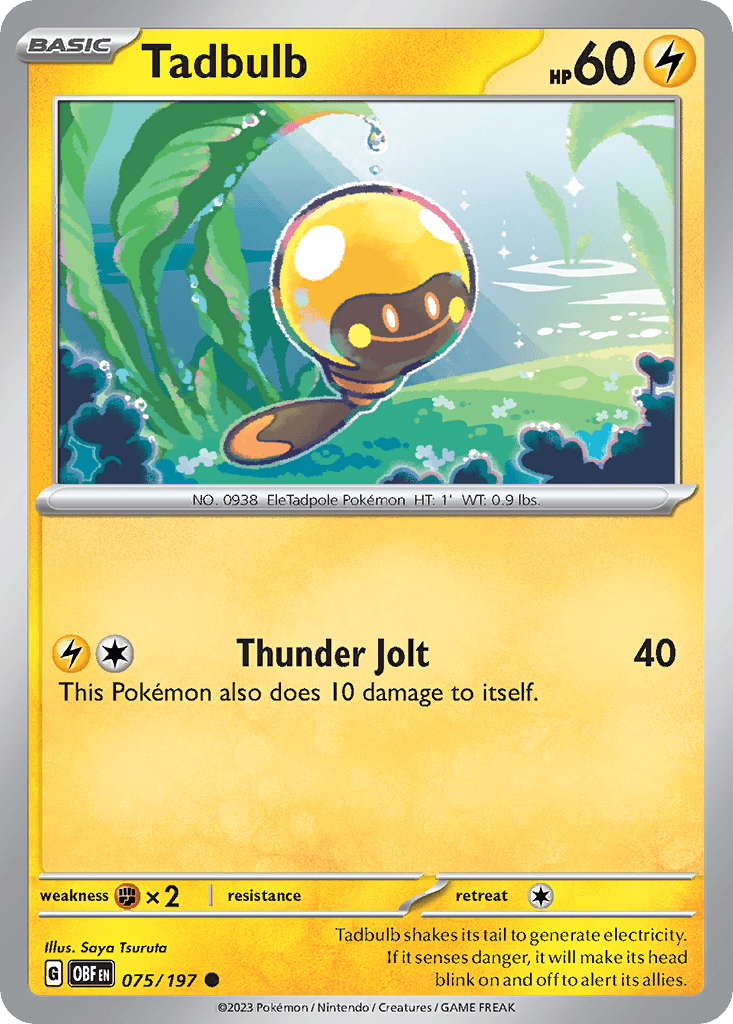 Tadbulb card