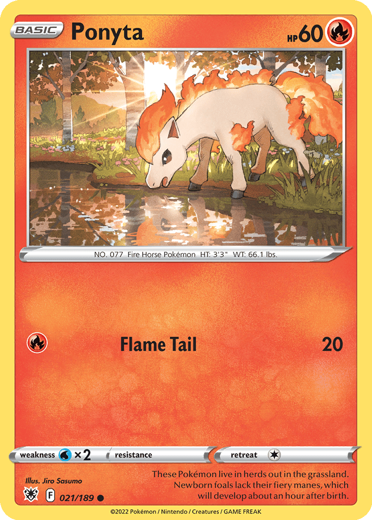 Ponyta card