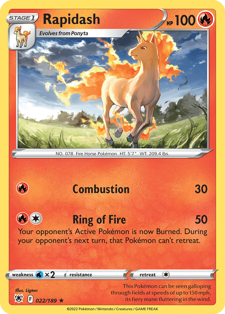 Rapidash card
