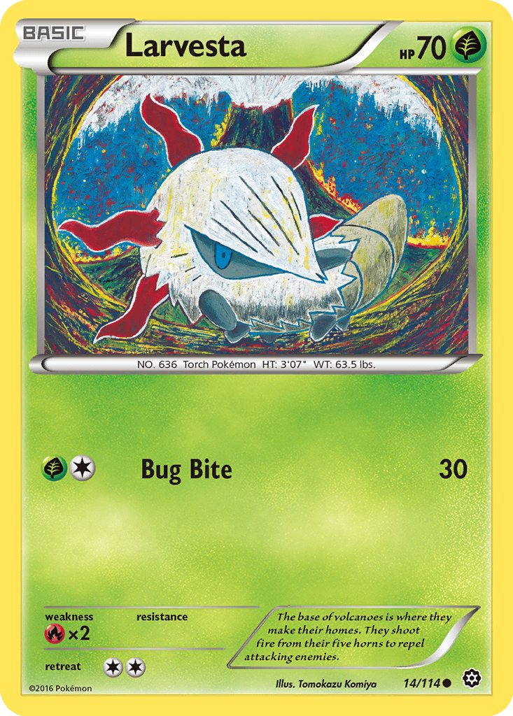 Larvesta card