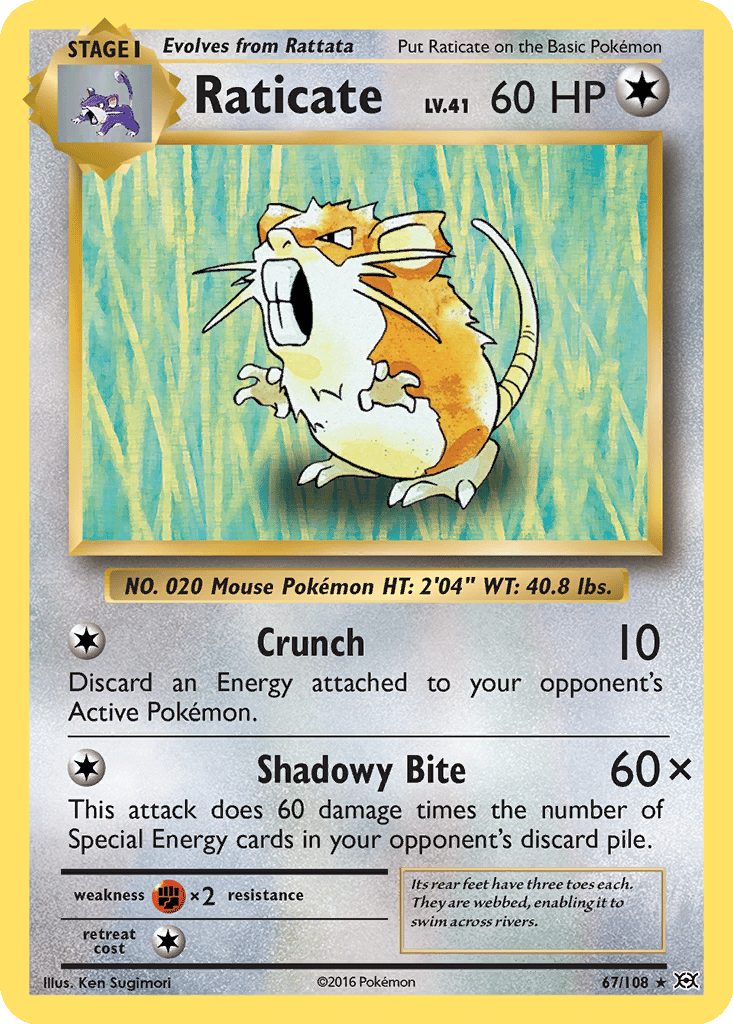 Raticate card
