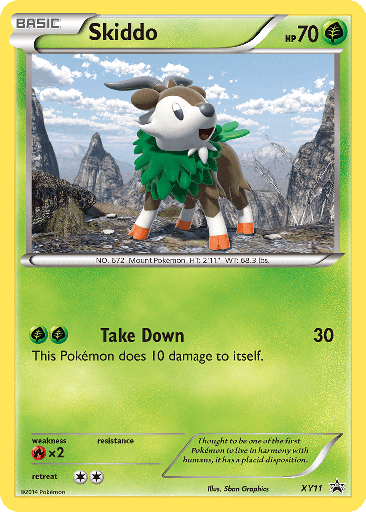 Skiddo card